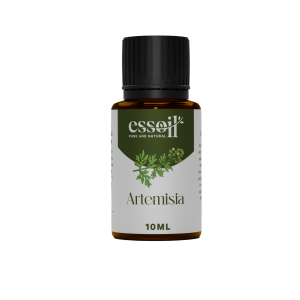 ARTEMISIA